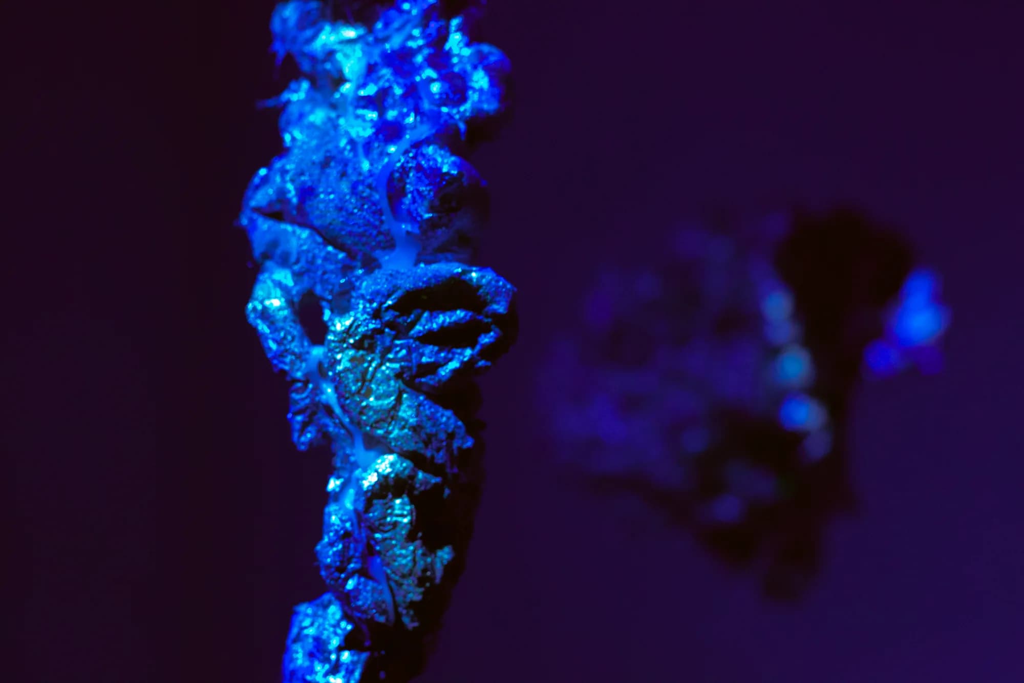 Detalhe de escultura feita com resíduos e texturas orgânicas